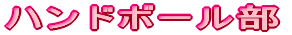 ハンドボール部